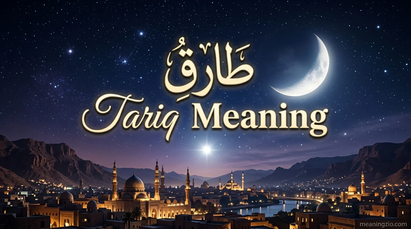Tariq Meaning